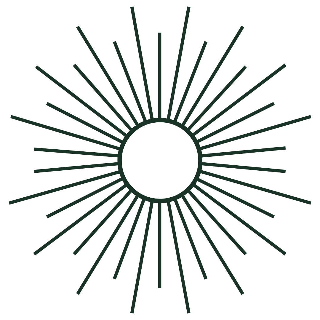 logo skaf